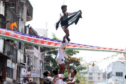 SC ignored as dahi-handi celebrated with protests, black flags in Maharashtra
