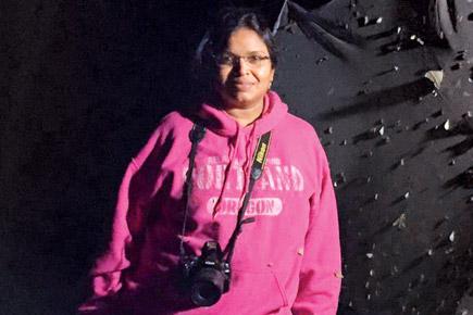 A nocturnal chase: 'The bug lady' to hold a moth camp in October in Mumbai