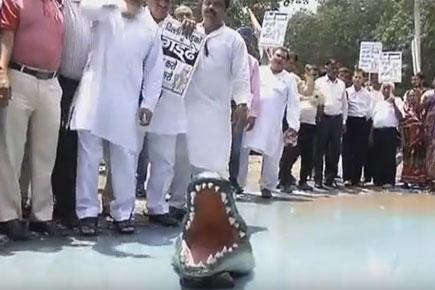 Watch video: Congress put mock crocs to protest against Delhi potholes