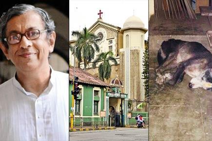 Mumbai: St Xavier's ex-principal caught in animal cruelty row 