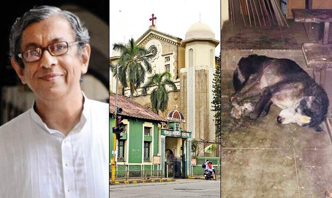 Fr Frazer Mascarenhas, the priest of St Peter’s Church in Bandra, has been accused of hitting the dog (right)