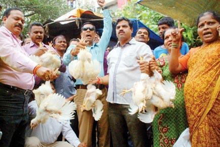 Mira-Bhayander Municipal Corporation: 8-day meat ban chopped to 2-days