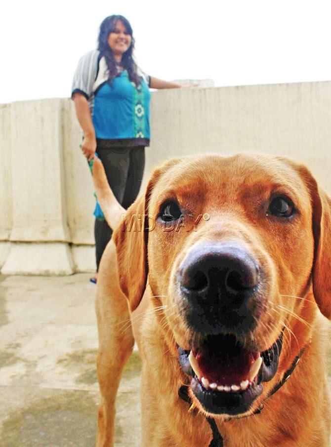 Two-year old Pluto is intrigued by our camera as Moresha Benjamin looks on. Pic / Prabhanjan Dhanu
