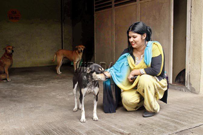 Mira Road societies row: Pow wow over feeding strays will be investigated