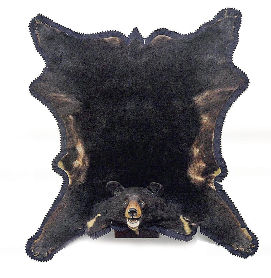 A large bear skin rug is part of the exhibition, indicating the excessive exploitation of animals