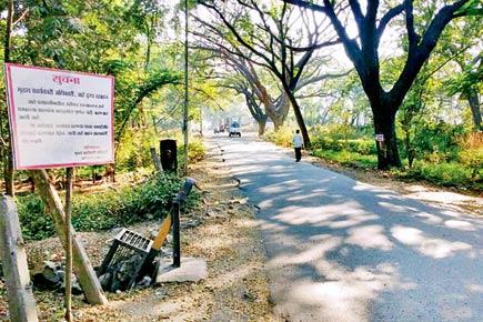 Mumbai: Aarey Colony's internal roads open to motorists again