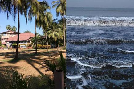 Dahanu beach: A serene secret weekend getaway near Mumbai