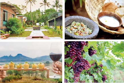 Love all things wine? This weekend getaway is just for you!