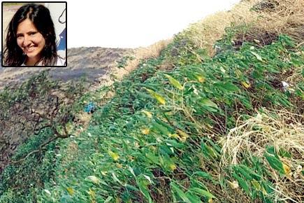 Trekker from Hyderabad found dead at Panvel peak