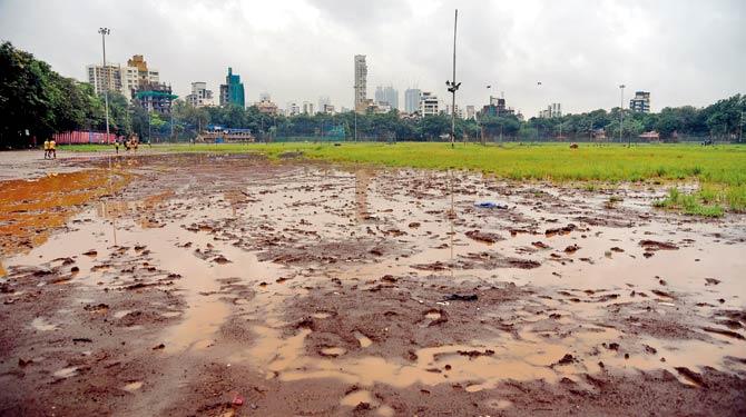 The HC observed that no organisation can claim a right to city’s open spaces. File pic