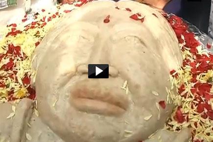 Watch Video: Jayalalithaa supporters remember her with a 68-kg idli