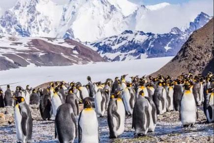 Dad makes 8,000-mile trip twice after clicking wrong penguin in memory of late daughter