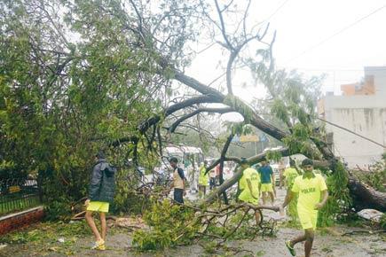 Cyclone Vardah makes landfall in Tamil Nadu, four dead
