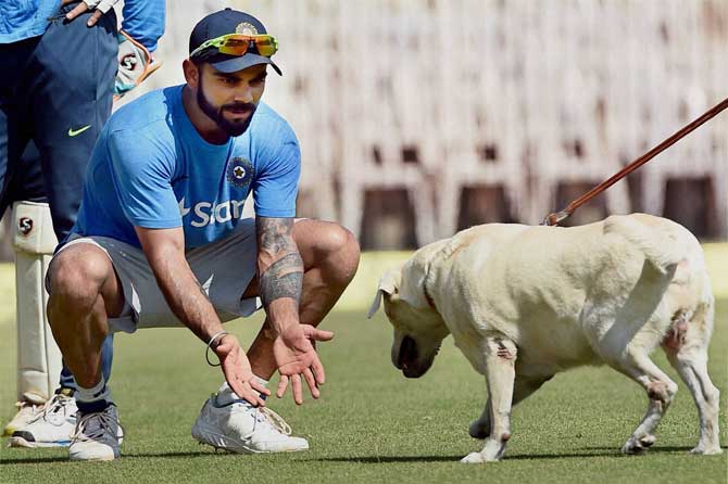 Indian Test captain Virat Kohli playing with a sniffer dog during a practice session ahead of the fifth and final test match against England at MAC Stadium in Chennai on Thursday. Pic/PTI