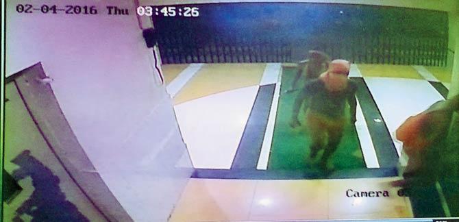 CCTV footage shows burglars entering the building