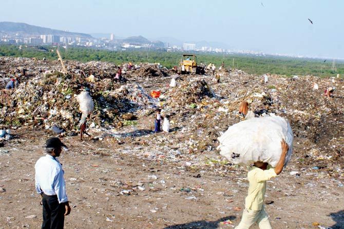 Prior to the blaze, about 500 trucks or roughly 3,000 metric tonnes of garbage was being dumped in the Deonar dumping ground.  FILE PIC