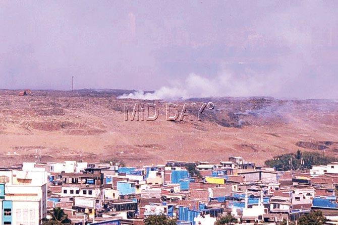 What a dump! The trash mountains at Deonar are as tall as 9-storey buildings, thanks to 5,500 metric tonnes of waste that replenish them every day. file pic