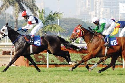 Exciting finish likely in mid-day Trophy