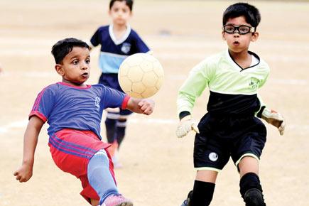 Dominant St Mary's clinch under-8 title