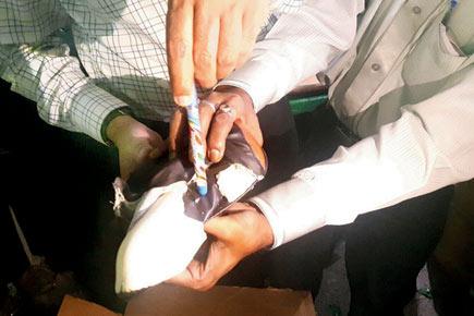 Mumbai: Drugs worth Rs 40.7 lakh hidden inside cycle seats seized