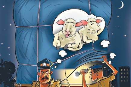 Pune cops flock to highways in search of stolen sheep, goats