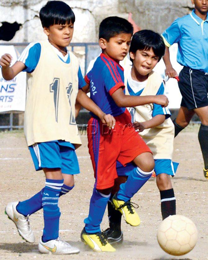 Right: A St Mary’s ICSE ‘B’ player in blue is sandwiched between two Dhirubhai Ambani ‘A’ players during the MSSA U-8 Div-II football final at Azad Maidan yesterday. Pic/Suresh Karkera 