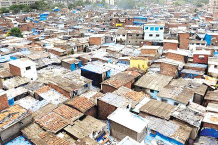 Dharavi redevelopment project's houses get first occupants