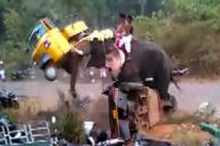 Caught on camera: Elephant goes berserk, damages vehicles