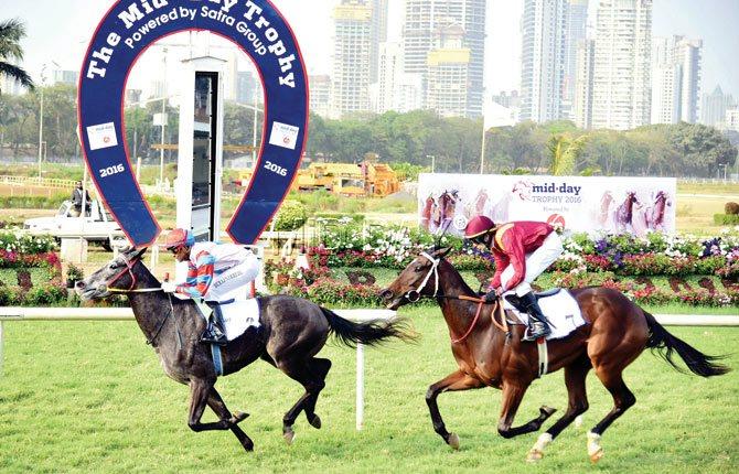 Jockey Suraj Narredu guides Silver Beauty left to victory during the mid-day Trophy 2016 at Mahalaxmi yesterday. 