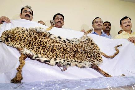 Illegal wildlife trade growing in Mumbai, say authorities