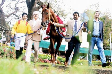 Quasar is a hero, a once-in-a-lifetime horse: Owner Jaydev Mody 