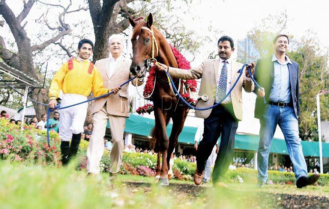 Quasar is felicitated during a special ceremony at the Mahalaxmi race course paddock. Pic/Sameer Markande