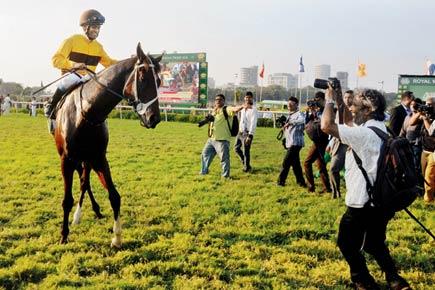 Shiv Sena wants theme park, laser show in place of horses at Mahalaxmi racecourse!