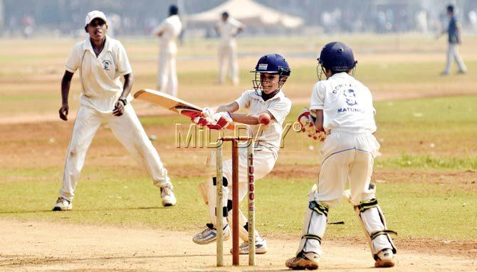 IES Orion’s Siddharth Mohite attempts to pull one during a MSSA Giles Shield tie against Don Bosco (Matunga) at Azad Maidan yesterday. Pics/ATUL KAMBLE 