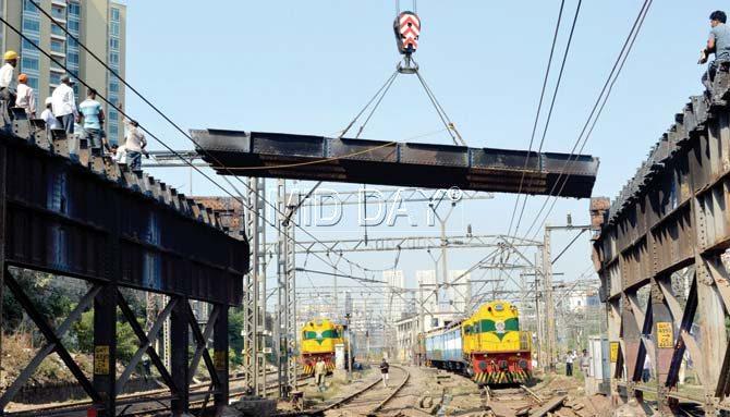 Two cranes of 300 tonnes each were involved in picking up the dismantled pieces of the steel and stone bridge, while two more were kept as stand-by. Pic/Datta Kumbhar