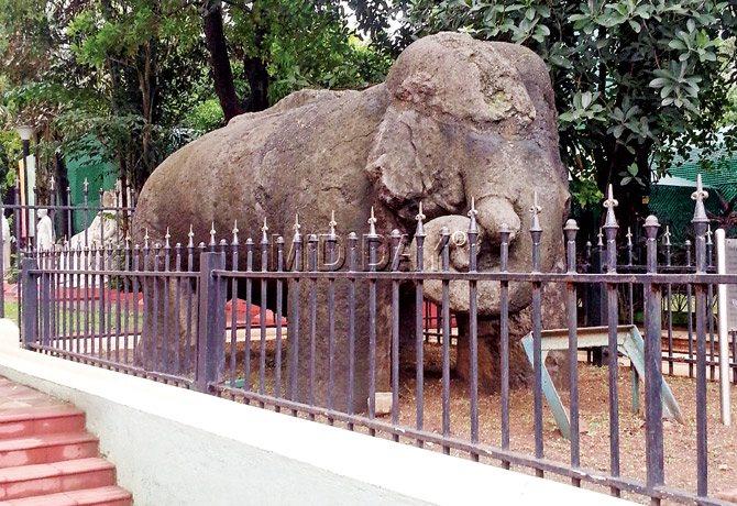 The elephant sculpture after which Elephanta island is named now stands at Dr Bhau Daji Lad Mumbai City Museum in Byculla. Pic/Dhara Vora