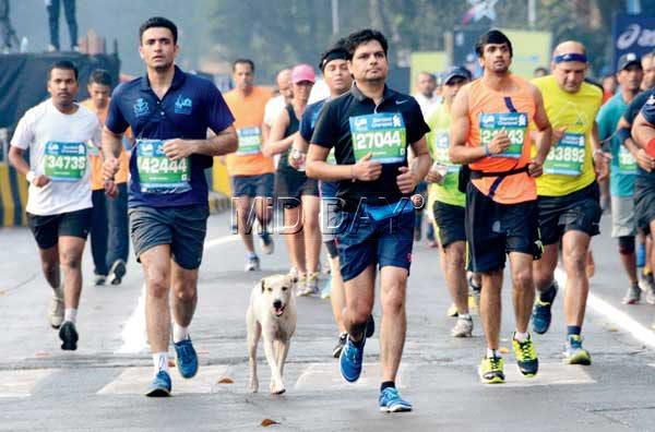 Some canine supporters also joined in to encourage the marathoners, managing to clock a few sprightly miles themselves. Pic/Satej Shinde
