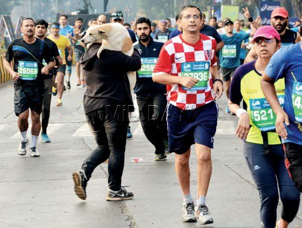 A dog looks as bushed as these runners as the mercury soars. Pic/Satej Shinde