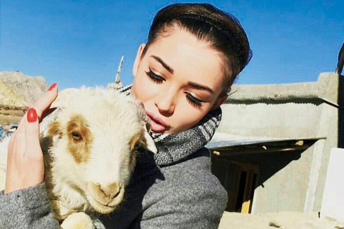 Amy Jackson with the injured lamb