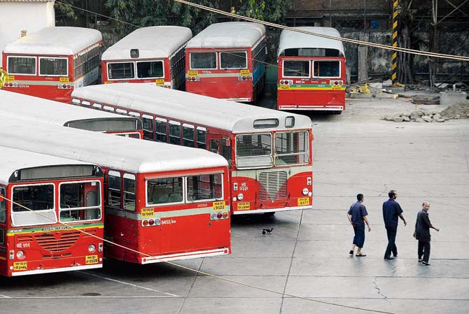 BEST will get 30 electric buses and  30 low-floor buses for the physically challenged  this year. File pic for representation