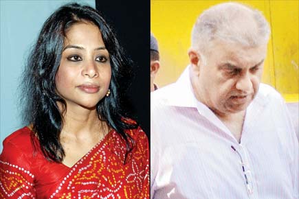 Mumbai: First witness in Sheena Bora murder case deposes again