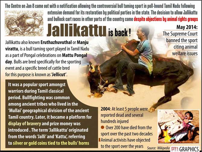 Jallikattu ban removal: Tamil Nadu erupts in joy, animal welfare groups  enraged