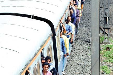 Apolitical Railway Development Authority may regulate train fare