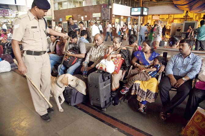 A railway protection force officer along with a sniffer dog checks the baggage at CST on November 14, 2015 after a terror alert. ATS units across Maharashtra and railway authorities have been asked to take necessary precautions. File pic