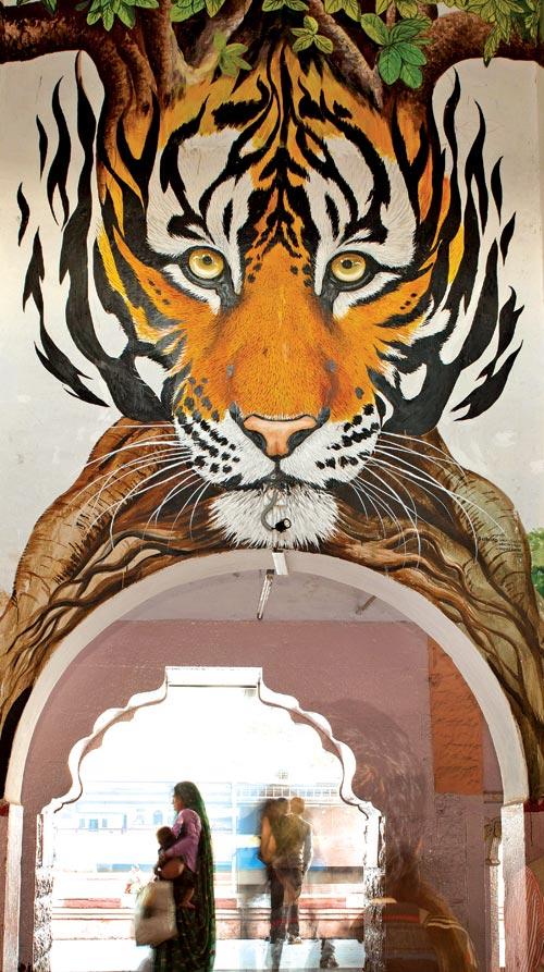 Thapar acquainted the artists with the tiger’s anatomy and character