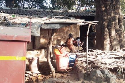 Bombay Veterinary College's red tape deprives tribals of water, power, toilets