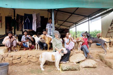 A Karjat animal hospice gets its due on film