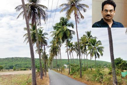 Wendell Rodricks leads battle to save Goa's coconut trees