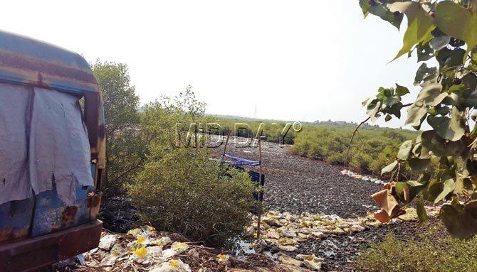 Concrete-filled gunny bags have been placed along the land to prevent water from reaching the mangroves. Shanties on the land carry RPI (above) banners, but the party denies any connection. PICS/shailesh Bhatia