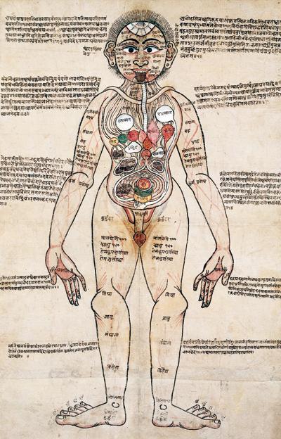 An 18th century pen and watercolour depiction of the human anatomy. PIC/WELLCOME LIBRARY